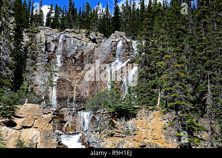 Groviglio rientra nel Parco Nazionale di Jasper, Alberta, Canada un delicato multi-tiered cascata Foto Stock