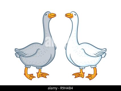 Due oche di bianco e grigio, cartoon funny goose isolati su sfondo bianco, oca natura domestica carattere, pollame, degli animali da allevamento Illustrazione Vettoriale