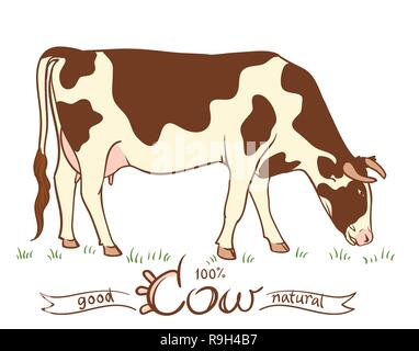 Mucca pezzata in un prato che mangia l'erba. Silhouette su uno sfondo bianco Illustrazione Vettoriale