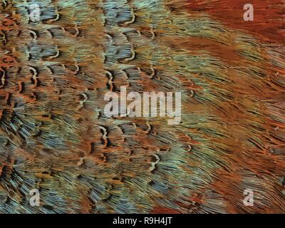 Sfondo animale e texture, buona per la stampa Illustrazione Vettoriale