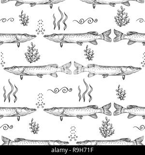 Pike. Modello senza giunture di Pike. Mano bozzetto illustrazione vettoriale Illustrazione Vettoriale