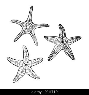 Disegnata a mano starfish in sagoma nera su off - sfondo bianco Illustrazione Vettoriale