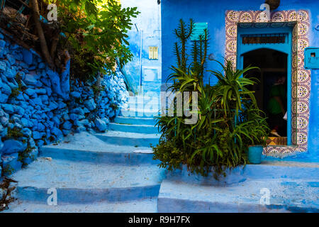 Giardino davanti alla casa nella medina blu Chefchaouen, Marocco in Africa Foto Stock