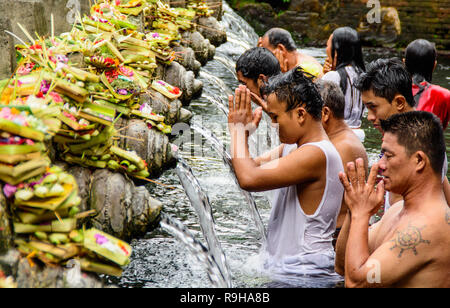 Dic 14,2014 Bali, Indonesia - persone in preghiera dando offerte presso 'Tirta Empul' indù tempio dell'acqua. Foto Stock