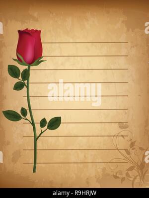 Red Rose realistica sulla vecchia carta rigata pergamena con ornamenti floreali. Modello per il biglietto di auguri, invito. Valentines amore nozze con sfondo Illustrazione Vettoriale