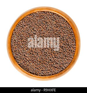 Nero semi di senape in ciotola di legno. Brassica nigra con nero e marrone scuro semi. Utilizzato per la realizzazione di senape, germogliazione, come una spezia e come condimento. Foto Stock