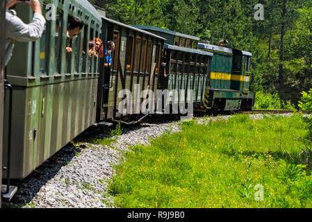 Sargan otto marcia di un treno in montagna su una a scartamento ferroviario del patrimonio, Mokra Gora, Serbia Foto Stock