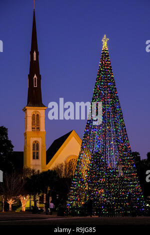 La città di Charleston albero di Natale si accende al crepuscolo in Marion Square con la cittadella piazza Chiesa Battista dietro a Charleston, Carolina del Sud. Foto Stock