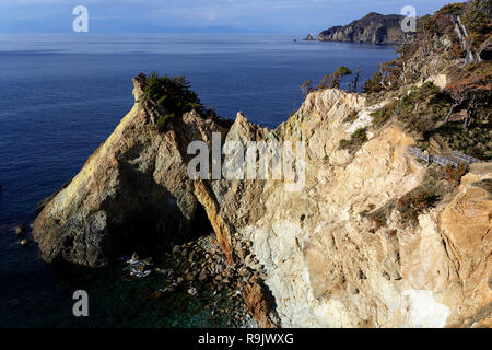 Madre e figlio camminando sulla passerella in legno al Koganezaki Cape sulla Penisola di Izu in Giappone Foto Stock