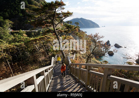 Madre e figlio camminando sulla passerella in legno al Koganezaki Cape sulla Penisola di Izu in Giappone Foto Stock