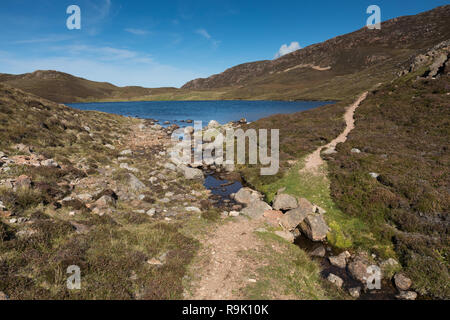 Paesaggio di sindrome di Muckle Roe, Shetland, Regno Unito Foto Stock