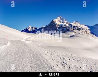 Wetterhorn 3692m picco di montagna, visto dal percorso tra la prima e la Faulhorn, Grindelwald, Svizzera. Foto Stock
