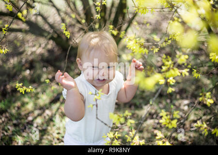 Un anno giocando da solo sotto la fioritura di coltivazione in un parco Foto Stock