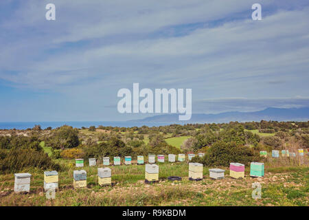 Linee di alveari a Cipro nel luglio Foto Stock