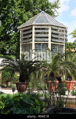 L'Orto Botanico (giardini botanici) a Padova sono tra le più antiche in Europa dopo aver aperto nel 1545. Foto Stock