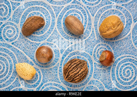 Varietà di dadi in gusci (brasiliano, pecan, inglese noce, nocciola, nero, noce macadamia, mandorla) contro giapponese carta pizzo con spirale picchiettio Foto Stock