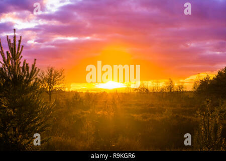 Tramonto in un paesaggio di brughiera con rosa nuvole madreperlaceo, un raro inverno meteo fenomeno Foto Stock