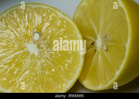 Vista ravvicinata di un singolo mature Meyer giallo limone Foto Stock