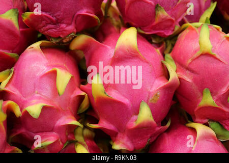 Cumulo di rosa vibranti Dragon frutta o Pithaya, Pitihaya in nome spagnolo Foto Stock