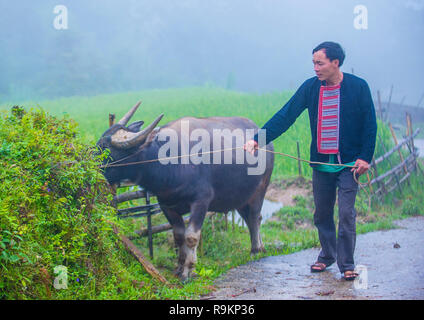 L uomo dalla Red Dao in minoranza in un villaggio vicino a Ha Giang in Vietnam Foto Stock