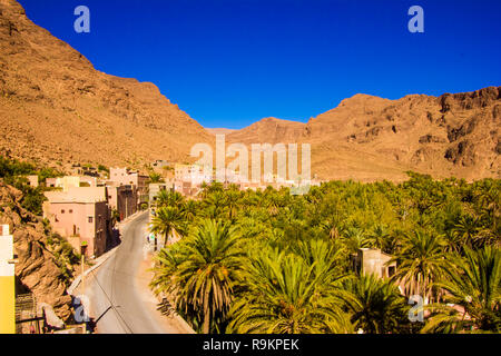 Lo splendido paesaggio di palm oasis vicino a Tinghir, Marocco in Africa Foto Stock