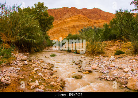 Grande african pendio roccioso Todgha Gorge canyon paesaggi ad alto Atlante gamma al Dades fiumi vicino a Tinghir town, Tinghir, Marocco in Afrika Foto Stock