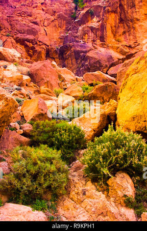 Grande african pendio roccioso Todgha Gorge canyon paesaggi ad alto Atlante gamma al Dades fiumi vicino a Tinghir town, Tinghir, Marocco in Afrika Foto Stock