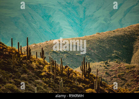 Paesaggio di montagna di Salta Argentina Foto Stock