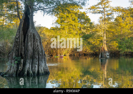 Kayakers al Rock Bluff molla sul fiume Suwanneee, Gilchrist County, Florida Foto Stock
