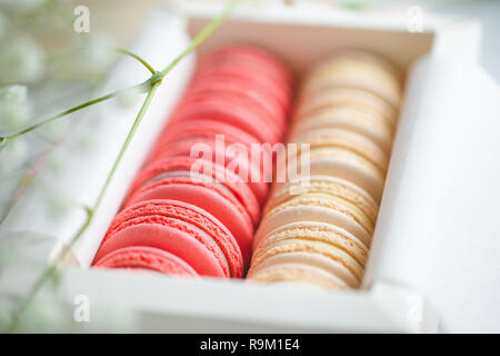 Corallo e torte beige macarons o amaretti in una scatola regalo bianca. Il concetto di giorno di San Valentino e la molla è in festa. Foto Stock