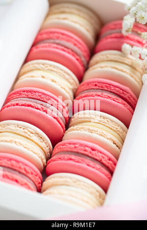 Corallo e torte beige macarons o amaretti in una scatola regalo bianca. Il concetto di giorno di San Valentino e la molla è in festa. Foto Stock