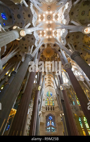 L'interno della Sagrada Familia progettata da Antoni Gaudi, Barcellona, Spagna Foto Stock