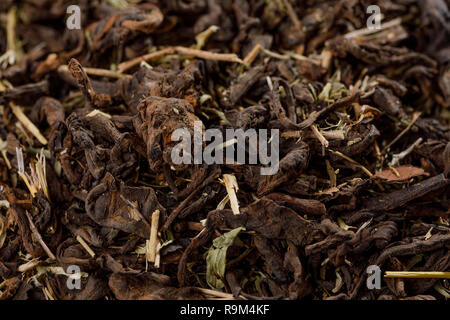Il vecchio Shu Puerh fermentato cinese del tè nero, vista dall'alto. Foto macro. Texture. Foto Stock