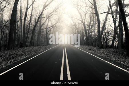 Il viaggio in questo paese la strada attraverso la foresta e la nebbia invernale Foto Stock