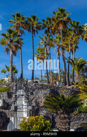 COSTA ADEJE, TENERIFE - APRILE 8,2014: bel lungomare vicino a Hotel Jardin Tropical in Costa Adeje a Tenerife, Isole Canarie, Spagna. Foto Stock