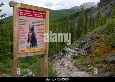 Segnale di avviso circa gli orsi grizzly, il Parco Nazionale di Banff, montagne rocciose, Alberta, Canada Foto Stock