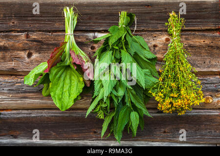 Immagine di essiccazione di erbe mediche nell'ombra Foto Stock