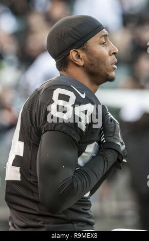 Oakland, la California, Stati Uniti d'America. 2° dic 2012. Oakland Raiders wide receiver Criner Juron (84) Domenica a O.co Coliseum di Oakland, CA. Il Browns sconfitto i raider 20-17. Credito: Al di Golub/ZUMA filo/Alamy Live News Foto Stock