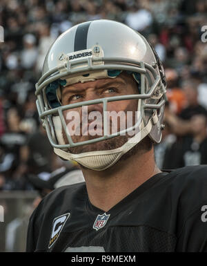 Oakland, la California, Stati Uniti d'America. 4 Novembre, 2012. Oakland Raiders punter Shane Lechler (9) Domenica a O.co Coliseum di Oakland, CA. I bucanieri sconfitto i raider 42-32. Credito: Al di Golub/ZUMA filo/Alamy Live News Foto Stock