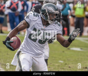 Oakland, la California, Stati Uniti d'America. 3 Novembre, 2013. Philadelphia Eagles running back LeSean McCoy (25) scorre attraverso la difesa della Domenica, Novembre 03, 2013, a Oakland, in California. Le aquile sconfitto i raider 49-20. Credito: Al di Golub/ZUMA filo/Alamy Live News Foto Stock