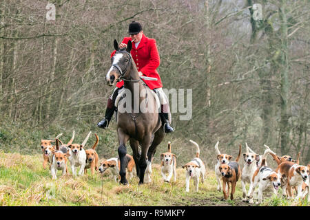 Rivington, Lancashire, Regno Unito. Il 26 dicembre 2018. L annuale Holcombe Boxing Day hunt avviene nel pittoresco villaggio di Lancashire di Rivington vicino a Chorley. Cavalli e Cavalieri si riuniscono per un giro di quattro circuito per le centinaia di spettatori prima di Master of Hounds, Sue Simmonds, dà il via libera per il puro evento tradizionale per iniziare. Credito: Cernan Elias/Alamy Live News Foto Stock