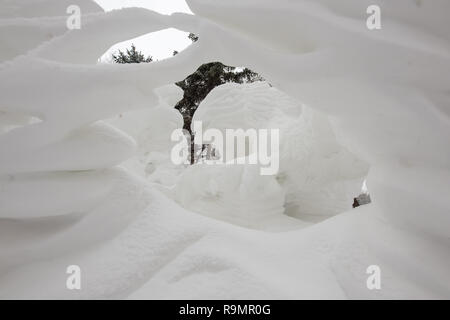 Harbi, Harbi, Cina. Il 26 dicembre, 2018. Harbin, CINA-la XXXI International Snow Sculpture Art Expo è tenuto presso il Sun Island a Harbin, nordest ChinaÃ¢â'¬â"¢s Provincia di Heilongjiang. Credito: SIPA Asia/ZUMA filo/Alamy Live News Foto Stock