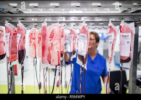 Hagen, Germania. 03 Dic, 2018. Un dipendente della Croce Rossa tedesca West sta lavorando sul sangue conserva in stabilimento di produzione di prodotti a base di sangue. Come la più grande banca del sangue in Europa, la creazione della DRK-ovest in Hagen è nuovo per l'inizio e serve molte cliniche e migliaia di pazienti in diversi stati federali. Credito: Marcel Kusch/dpa/Alamy Live News Foto Stock
