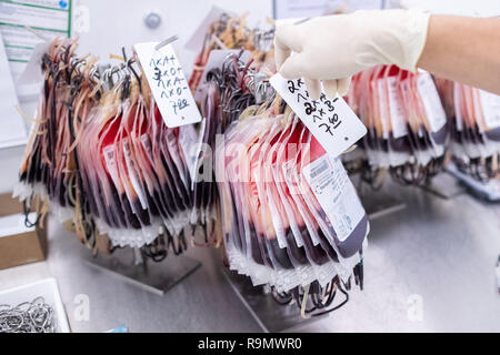 Hagen, Germania. 03 Dic, 2018. Un dipendente della Croce Rossa tedesca West tipi di componenti del sangue secondo gruppi sanguigni e tempo in stabilimento di produzione di prodotti a base di sangue. Come la più grande banca del sangue in Europa, la creazione della DRK-ovest in Hagen è nuovo per l'inizio e serve molte cliniche e migliaia di pazienti in diversi stati federali. Credito: Marcel Kusch/dpa/Alamy Live News Foto Stock