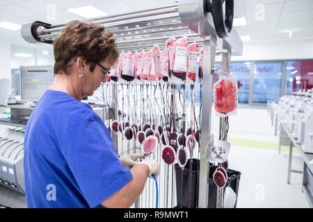Hagen, Germania. 03 Dic, 2018. Un dipendente della Croce Rossa tedesca West sta lavorando sul sangue conserva in stabilimento di produzione di prodotti a base di sangue. Come la più grande banca del sangue in Europa, la creazione della DRK-ovest in Hagen è nuovo per l'inizio e serve molte cliniche e migliaia di pazienti in diversi stati federali. Credito: Marcel Kusch/dpa/Alamy Live News Foto Stock