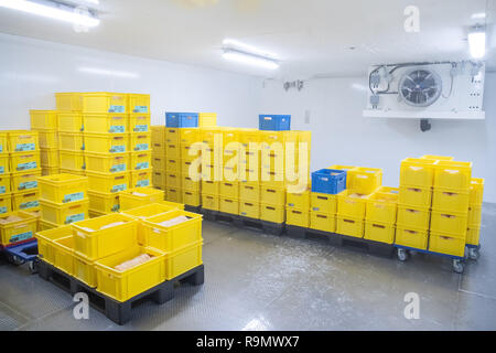 Hagen, Germania. 03 Dic, 2018. Il plasma è congelato in cesti di storage in un congelatore a magazzino del prodotto del sangue del sito di produzione. Come la più grande banca del sangue in Europa, la creazione della DRK-ovest in Hagen è nuovo per l'inizio e serve molte cliniche e migliaia di pazienti in diversi stati federali. Credito: Marcel Kusch/dpa/Alamy Live News Foto Stock