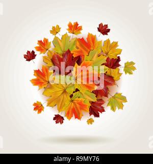 Autunno colorato di foglie di acero in una forma rotonda, illustrazione vettoriale Illustrazione Vettoriale