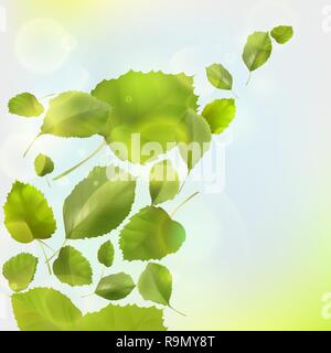 Sullo sfondo della natura con fresche foglie verdi e sole Illustrazione Vettoriale