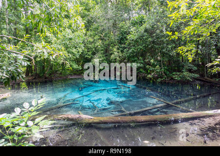 La Blue Lagoon a Krabi, Thailandia, famosa meta di turisti parte della vicina piscina di smeraldo Foto Stock