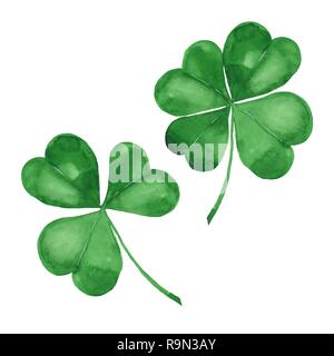 Acquerello trifoglio verde Foto Stock